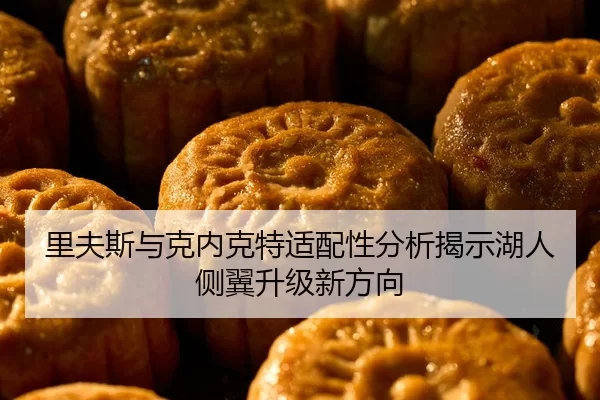 里夫斯与克内克特适配性分析揭示湖人侧翼升级新方向