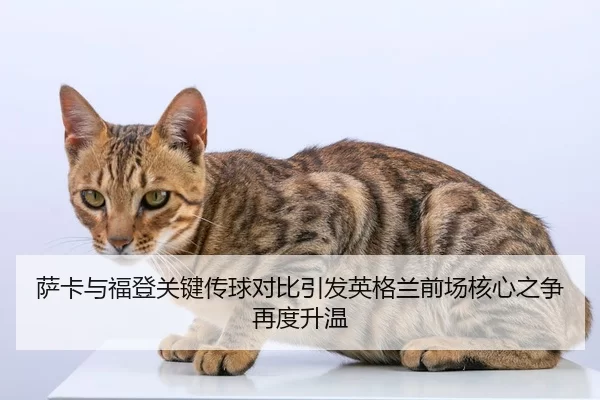 萨卡与福登关键传球对比引发英格兰前场核心之争再度升温