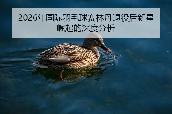 2026年国际羽毛球赛林丹退役后新星崛起的深度分析