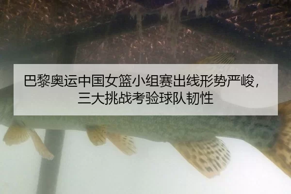巴黎奥运中国女篮小组赛出线形势严峻，三大挑战考验球队韧性